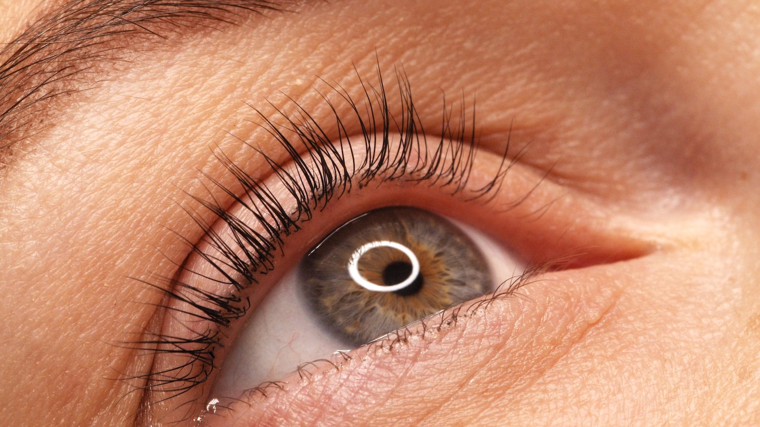 Close-up of a human eye showing natural upper and lower eyelashes, eyelid skin texture, and a visible iris.